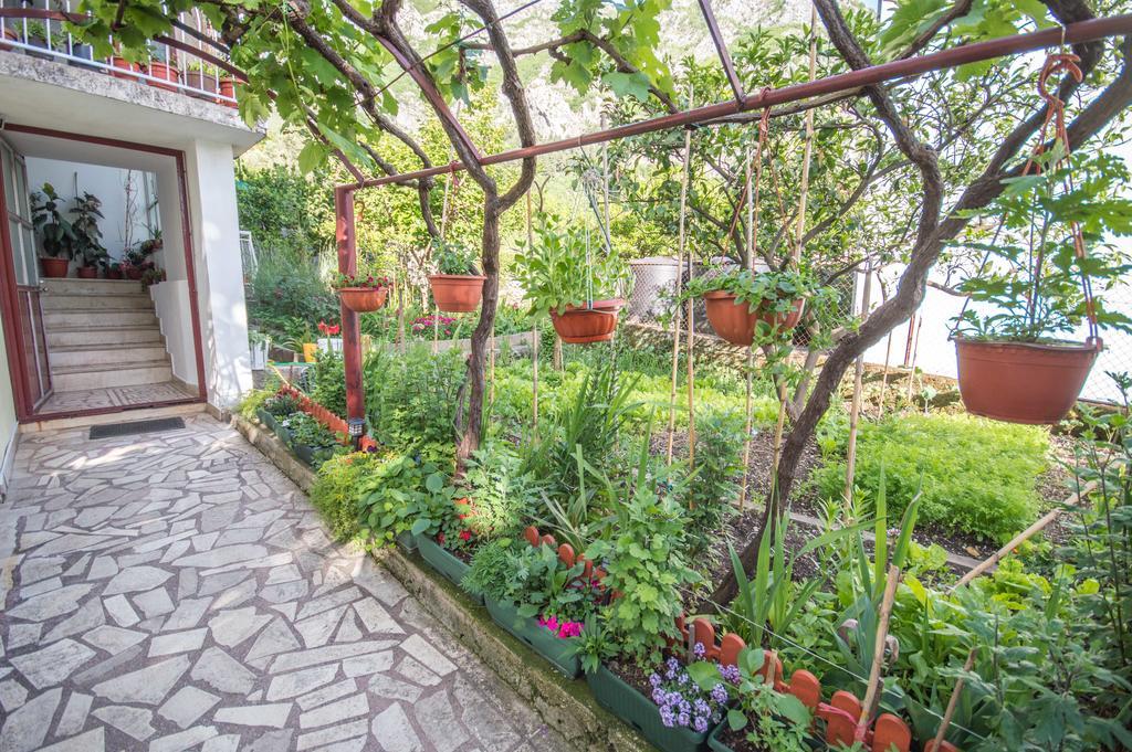 Ranko Apartments Рисан Экстерьер фото